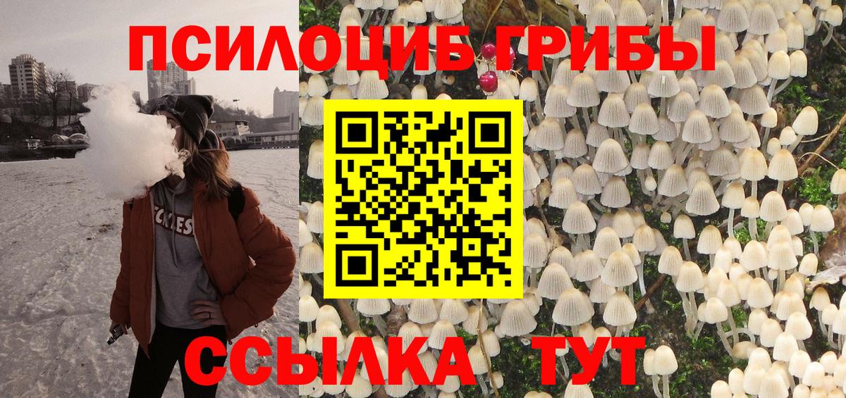 Псилоцибиновые грибы Cubensis  Псилоцибиновые грибы Cubensis  где купить   Дубна  Вход с VPN 